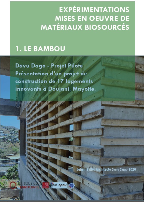 Et si le bambou devenait un matériau structurel pour le logement à Mayotte ?